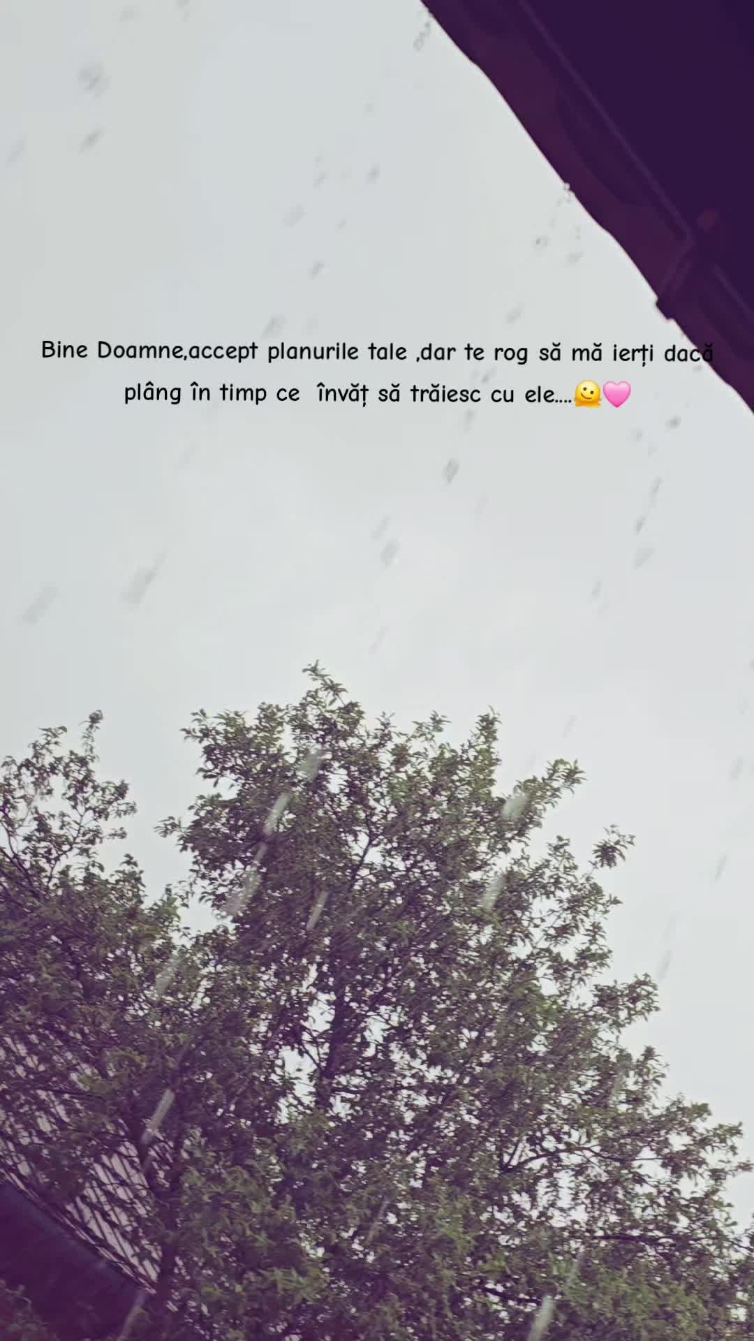 @🤍Adri🤍