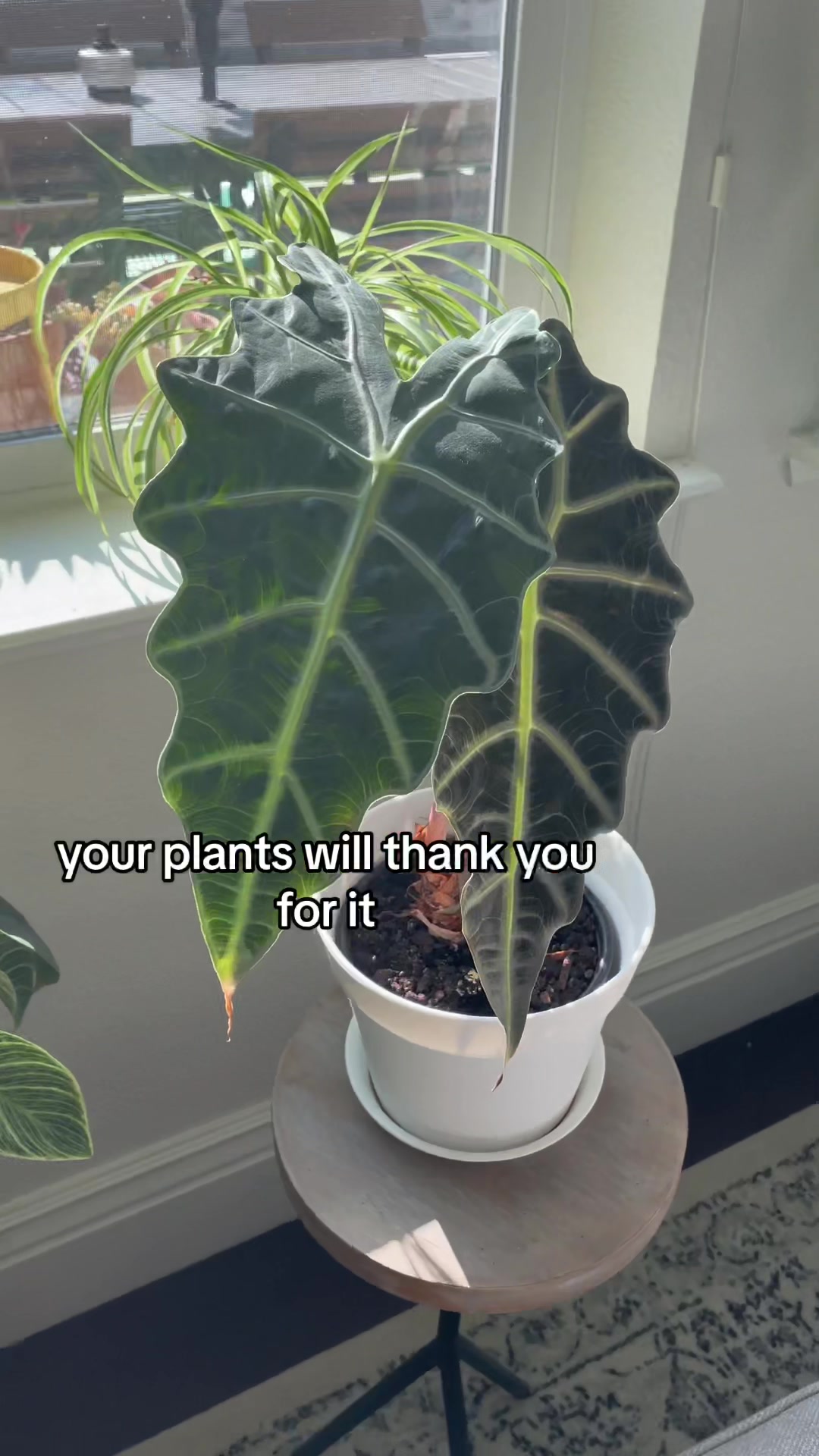 @Claire A