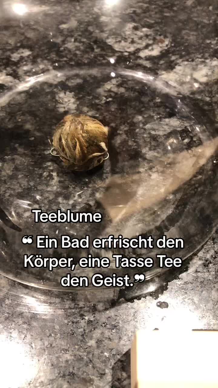 @_pflanzen_magie_