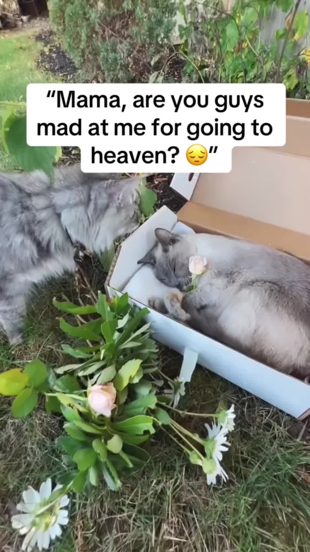 @mediacentral78