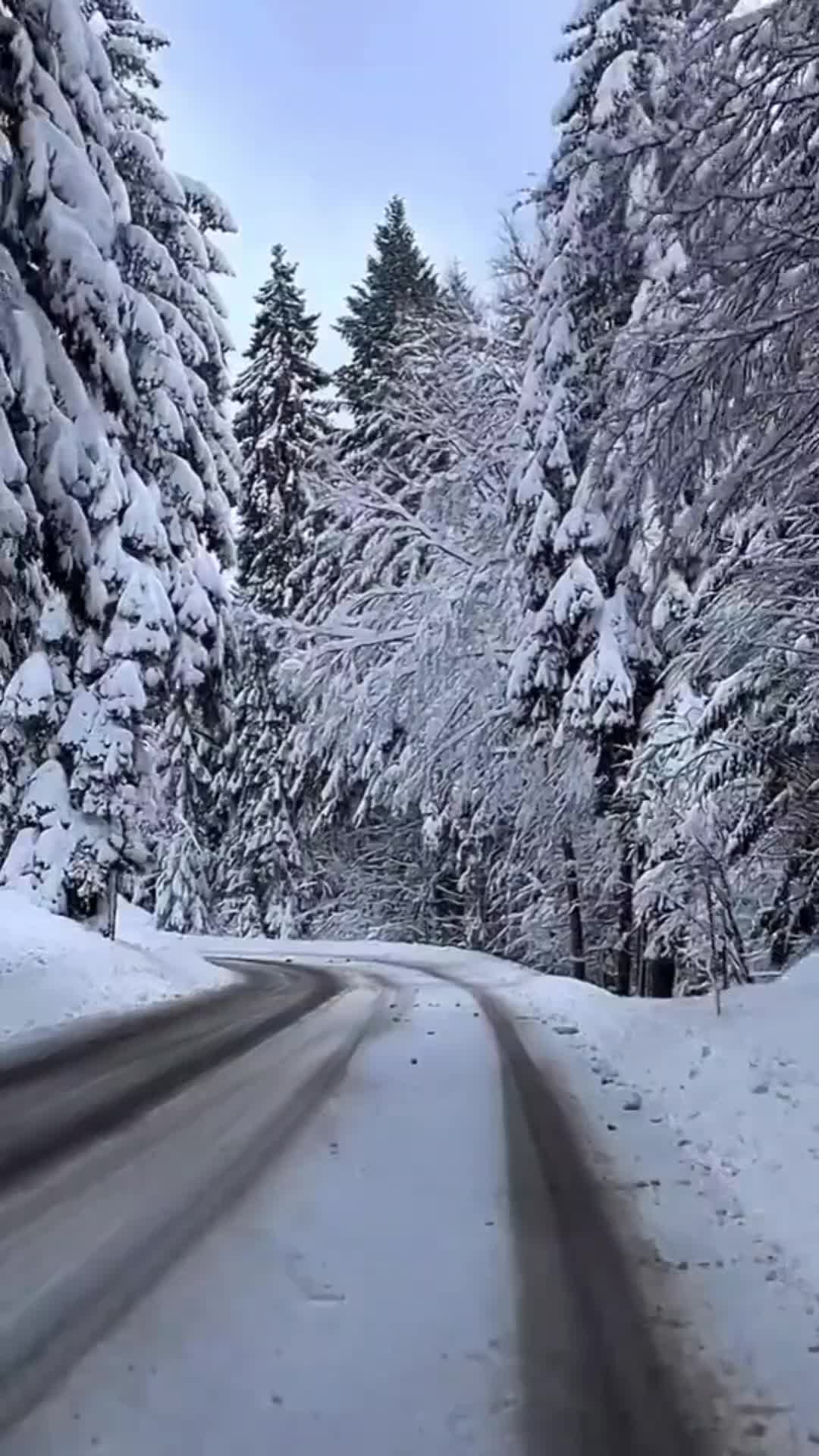 @ajetdoci