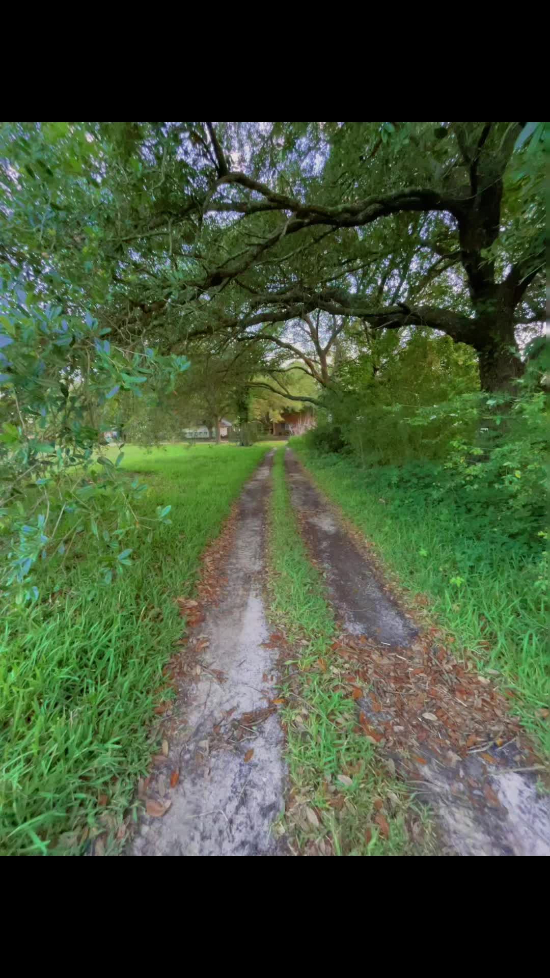 @death consciousness