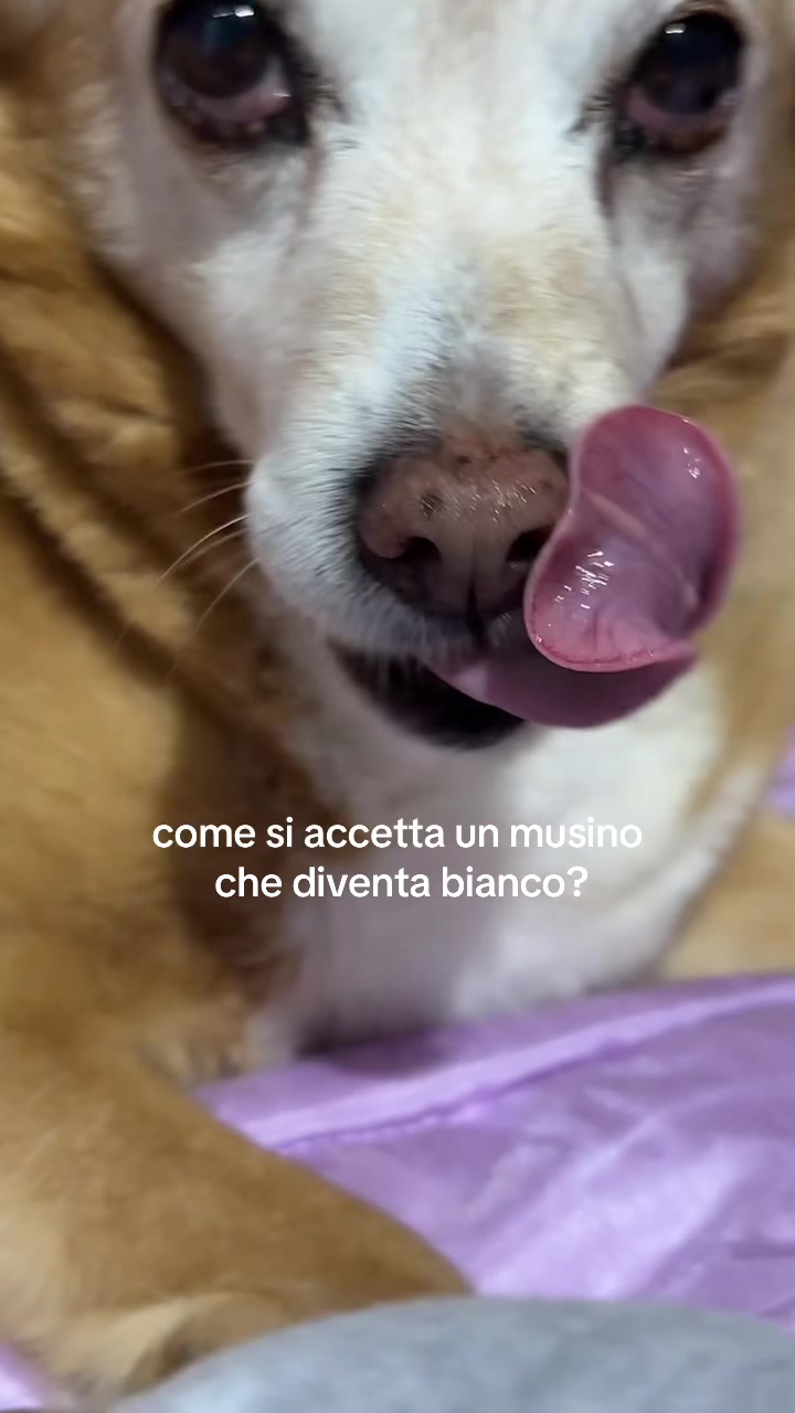 @AM