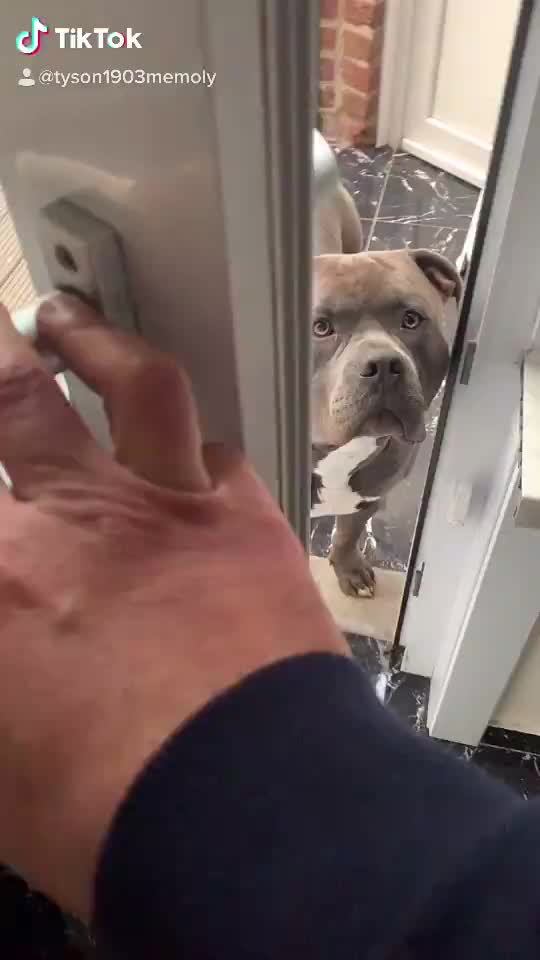 @Tyson&Memoly