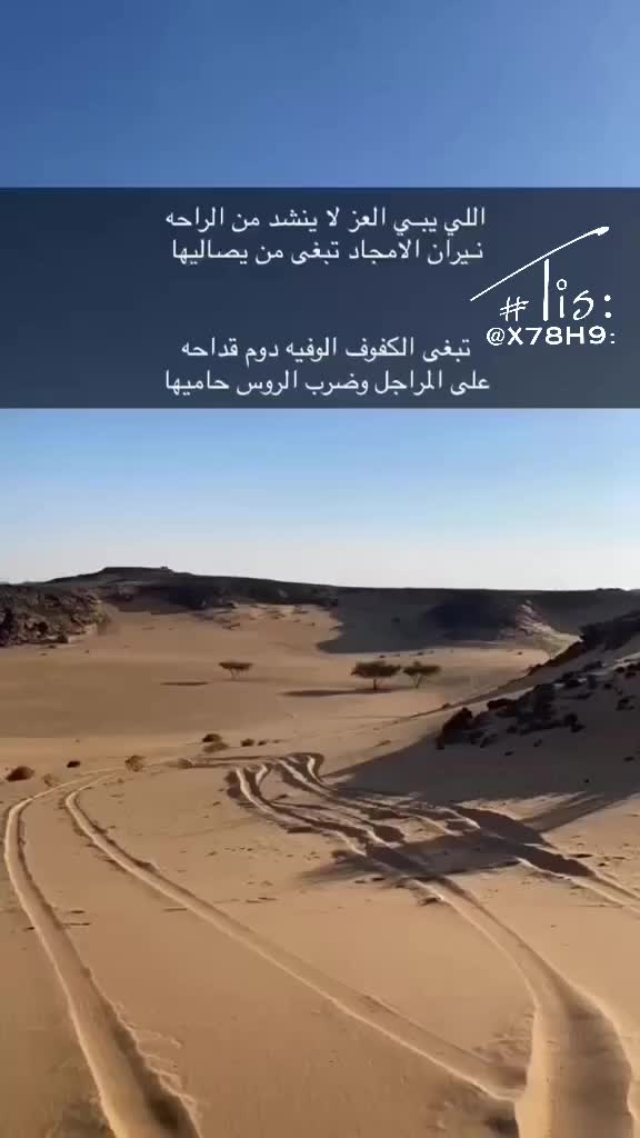 @المصمم شبل كليب