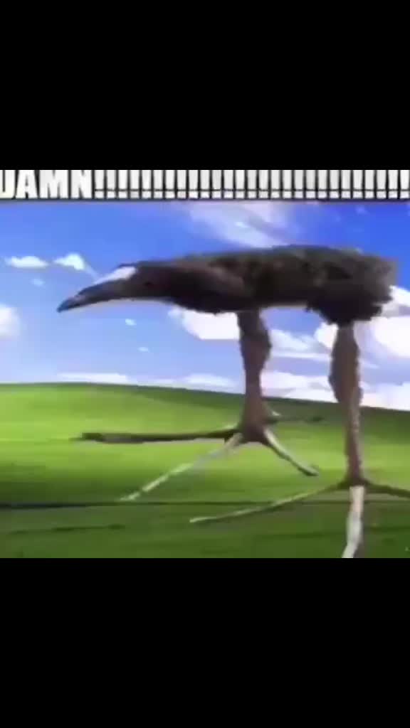 @fuliz