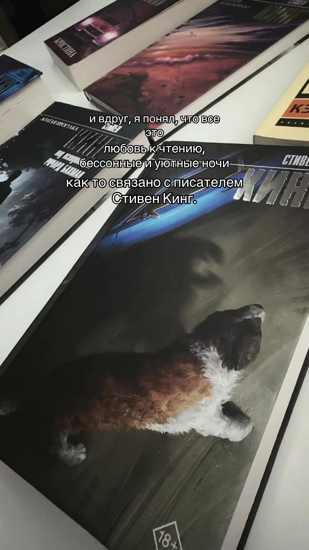 @безымянный читатель🀄️
