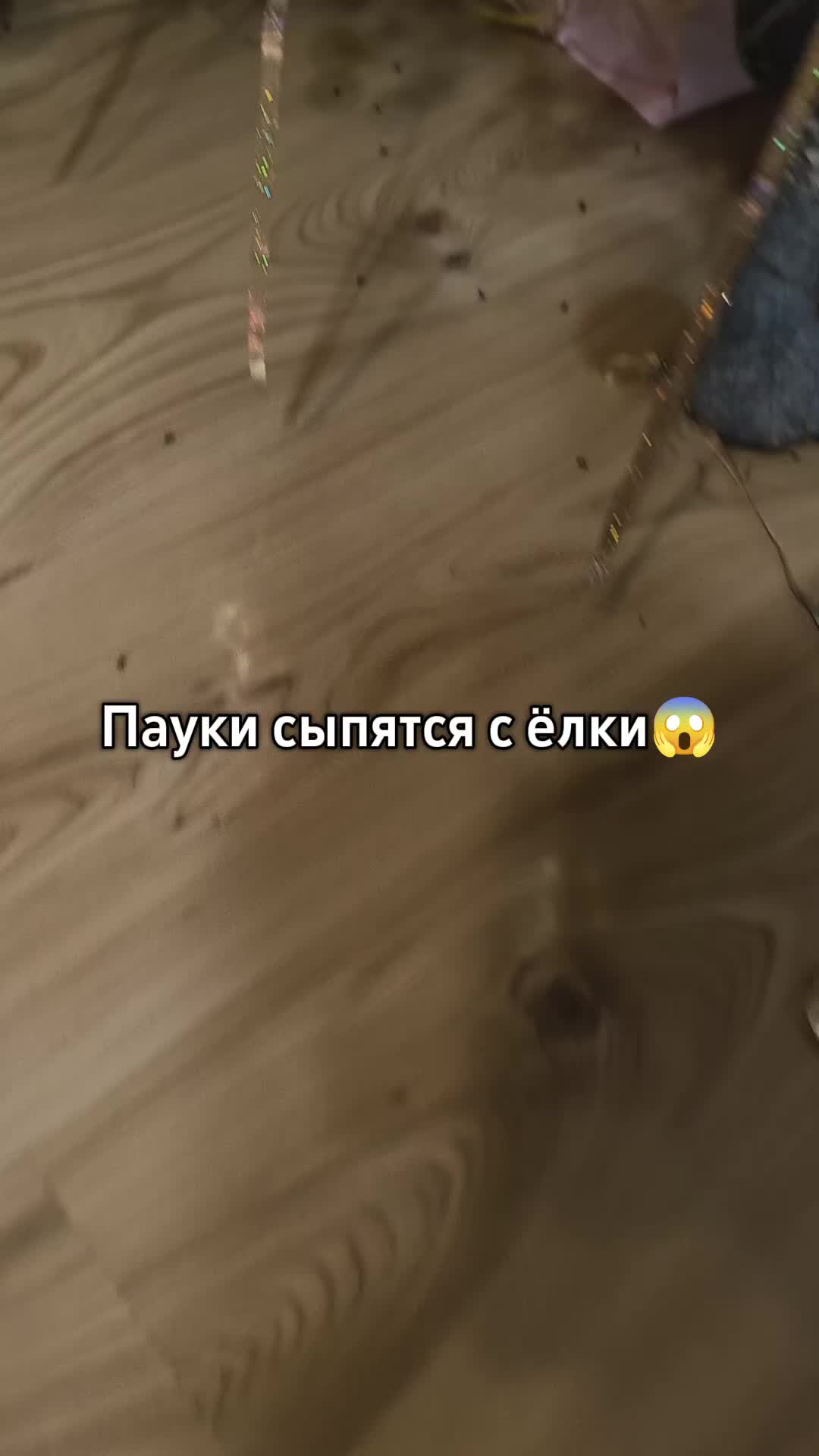 @savelii17