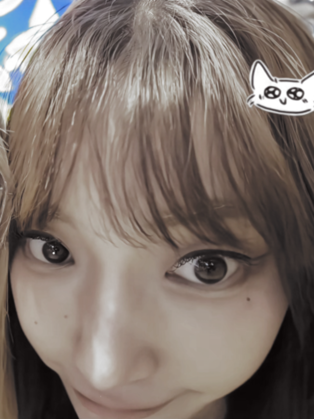 @miaw:3