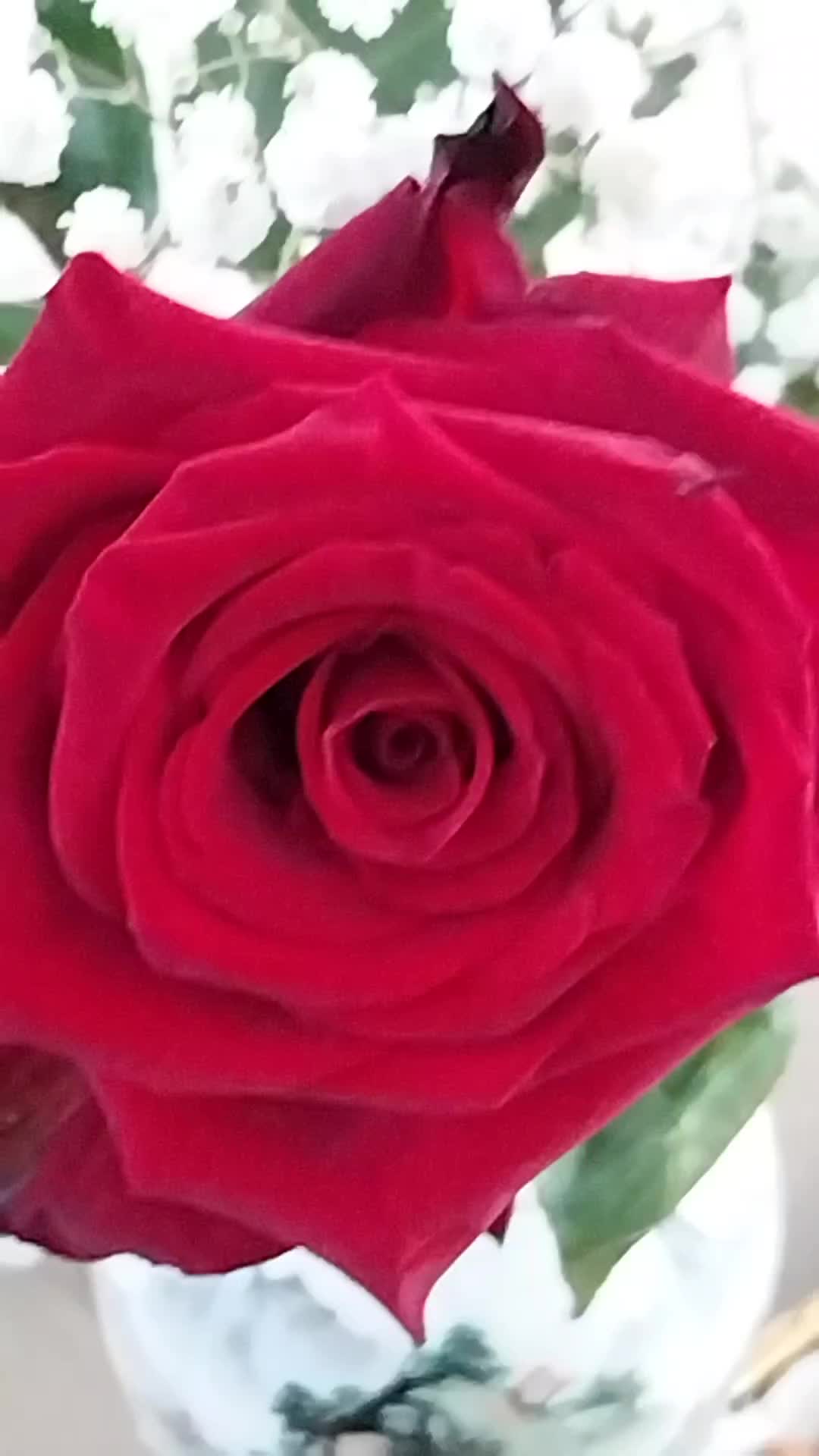 @maryamtanha12 🇦🇫🇦🇹