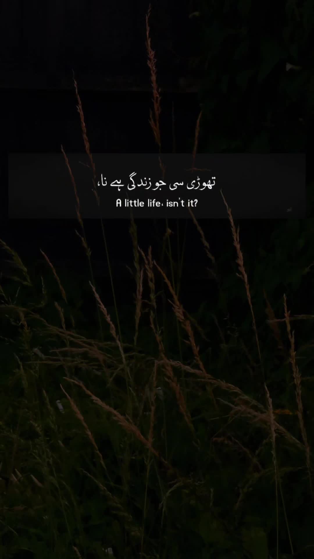 @SharjeeL