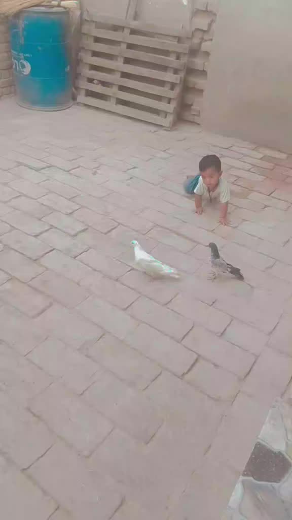 @M ALI JAAN