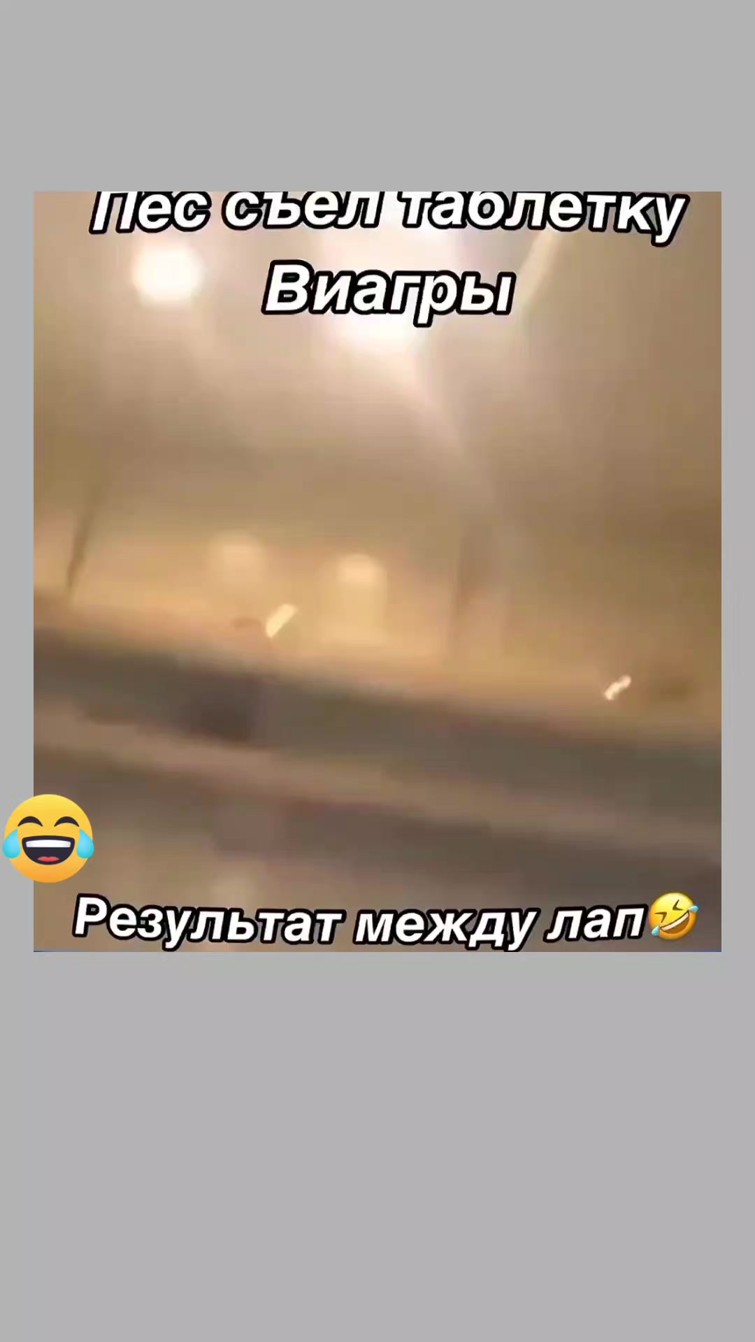 @Chillszone🤣