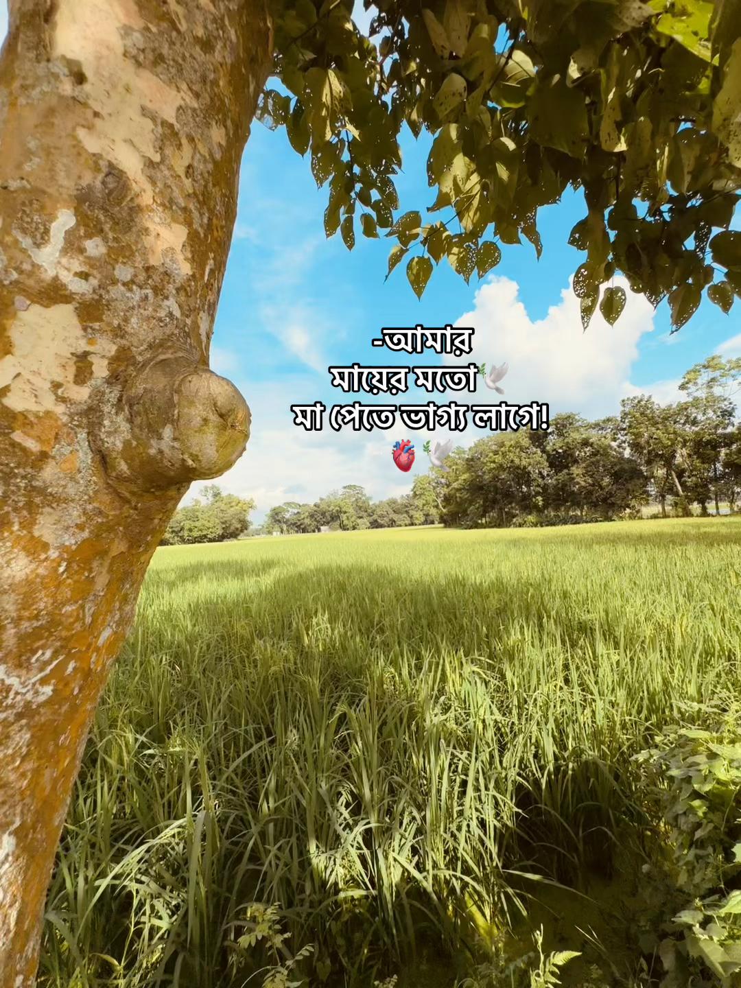 @🌝𝙎𝙊𝙐𝙍𝘼𝙑🌝