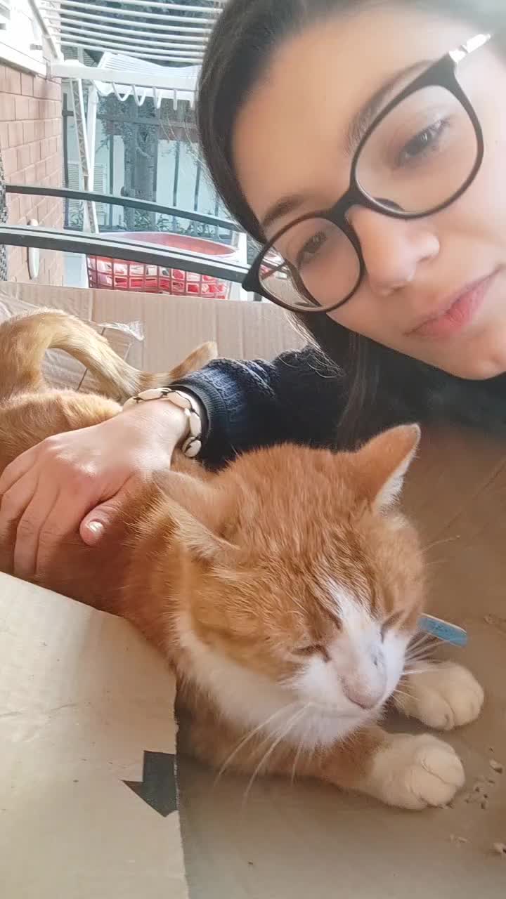 @Jessica Totò