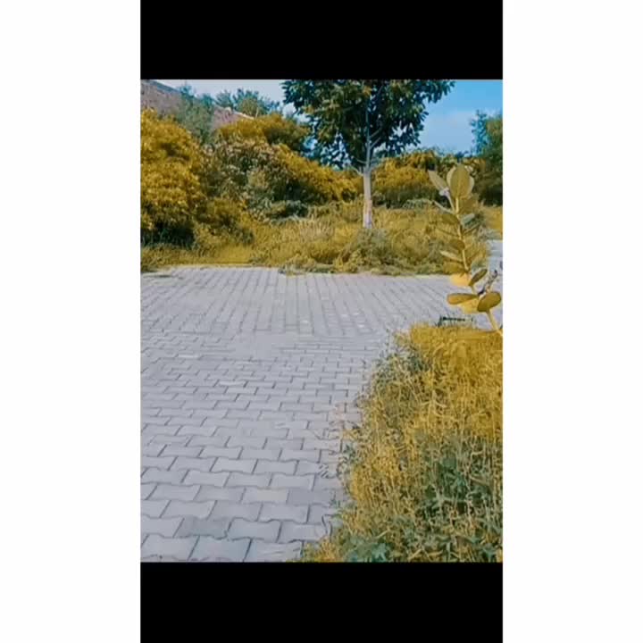 @꧁༺Vł₵₭Ɏ❷฿Ⱨ₳ł༒༻꧂