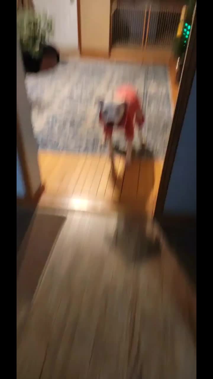 @Justin