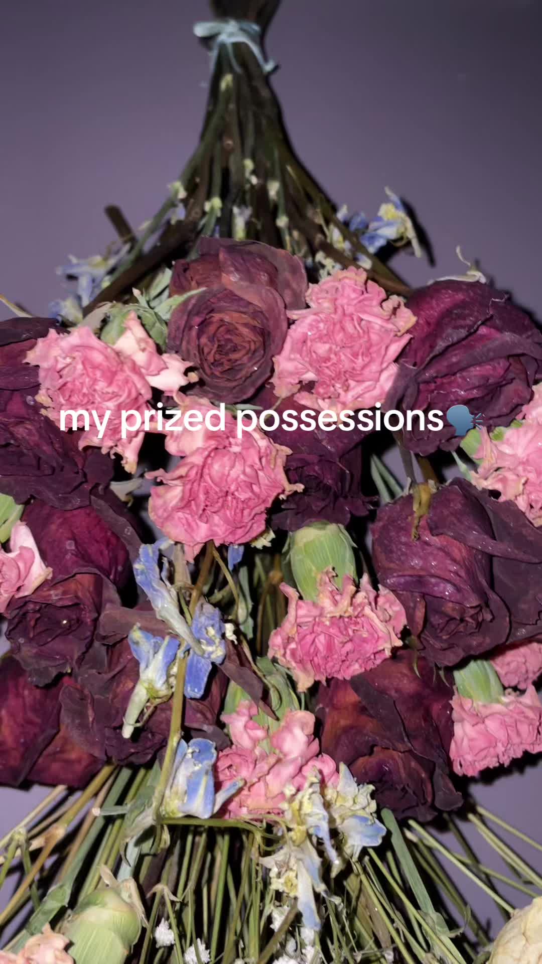 @amyleezer🛸