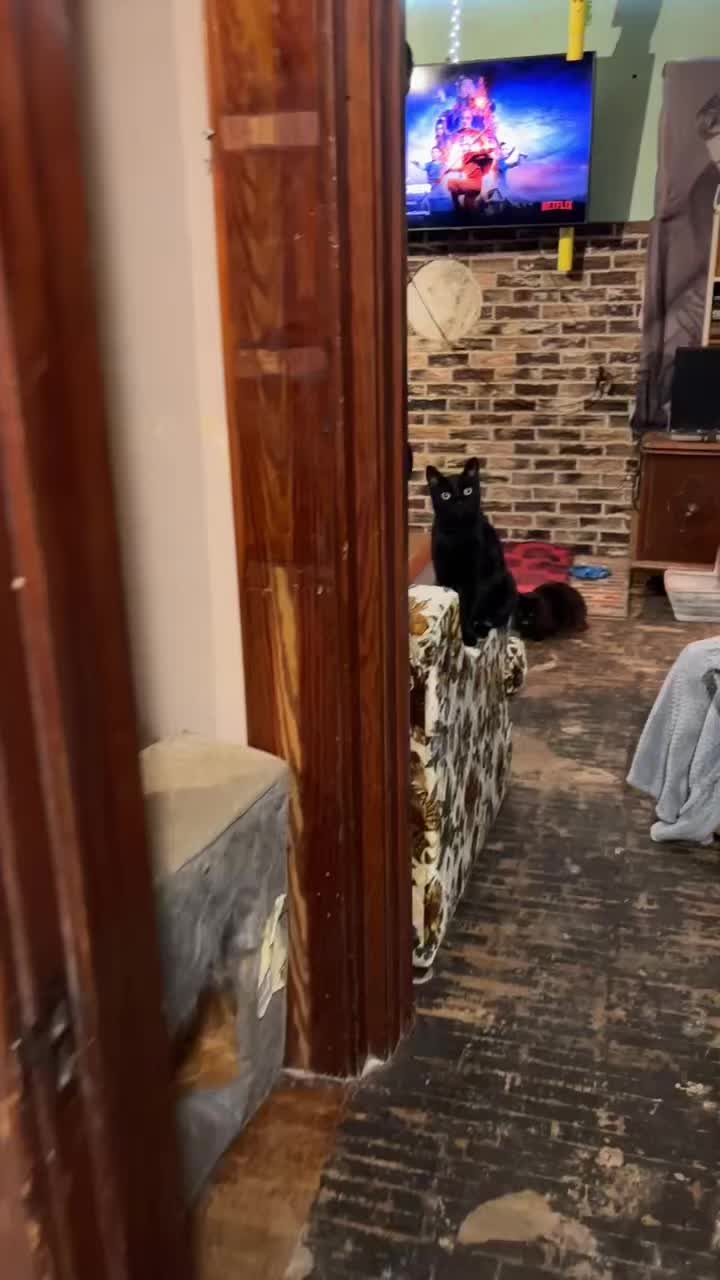 @xMissMythx
