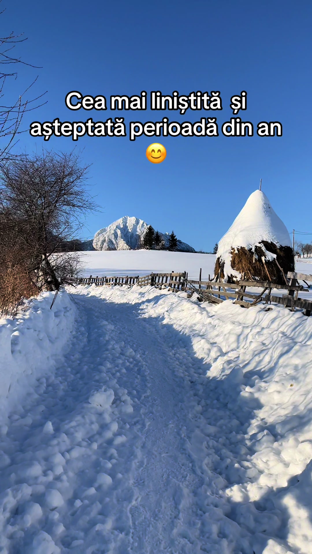 @Cristina Iuliana