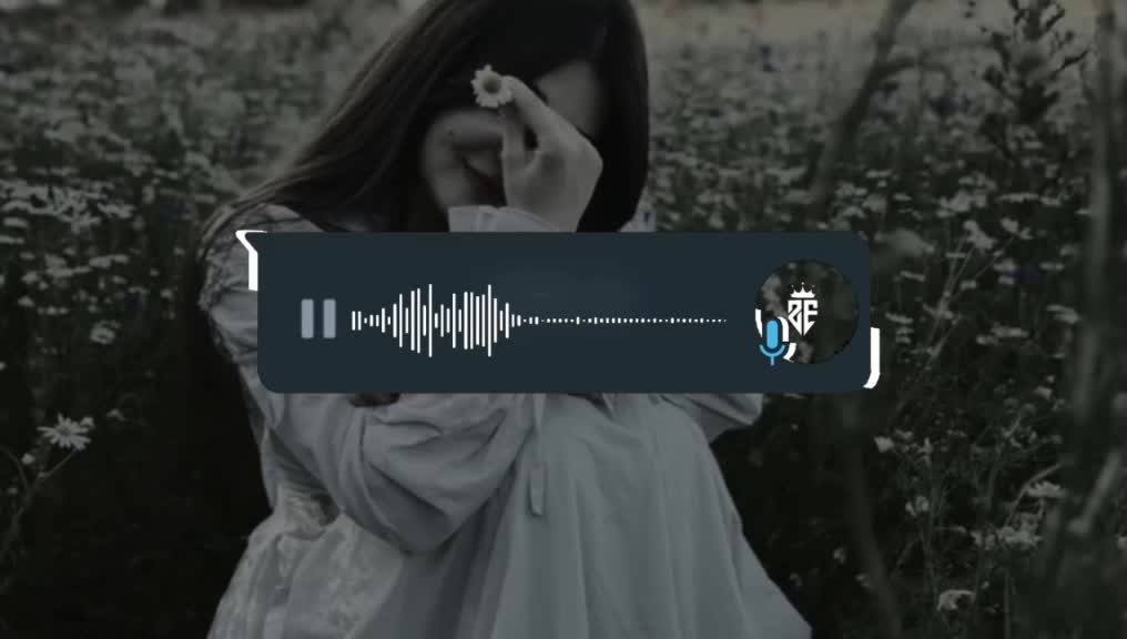 @✧ Uɴᴋɴᴏᴡɴ Eᴅɪᴛ ✧ 🎶