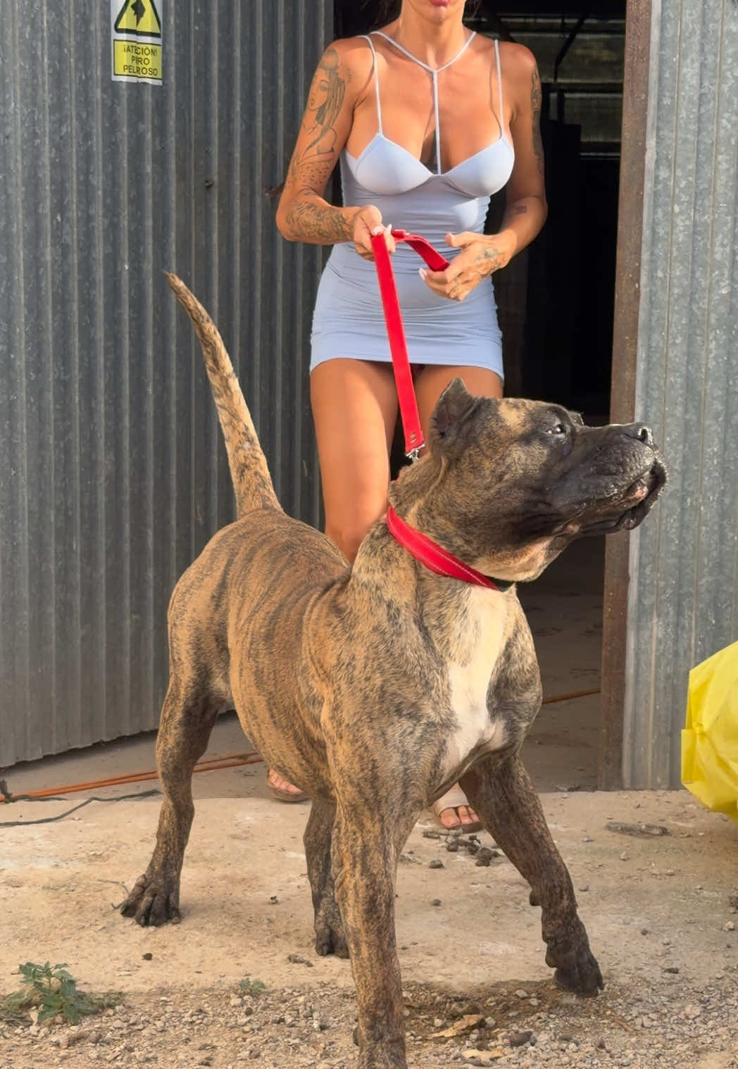 @Alberto Presa Canario Sanz