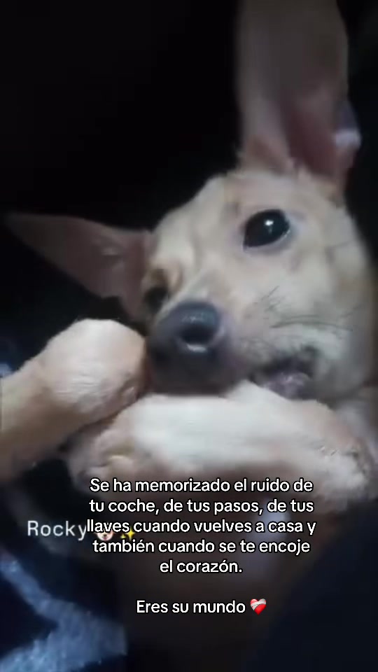 @Isabel Pe&ntilde;a Gonzalez
