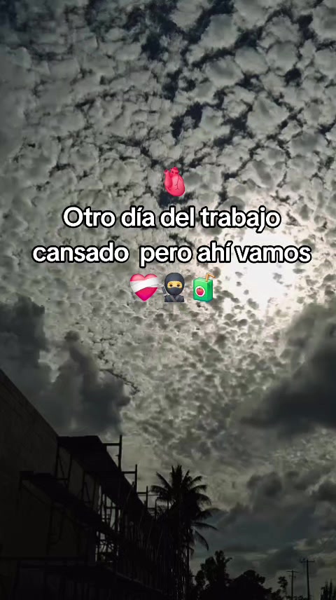 @🍀🍀b&eacute;lico 502 💯💯💯