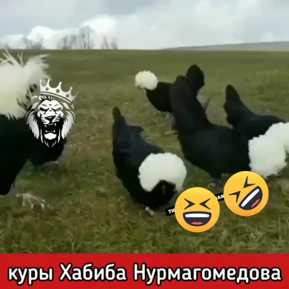 @Udgin