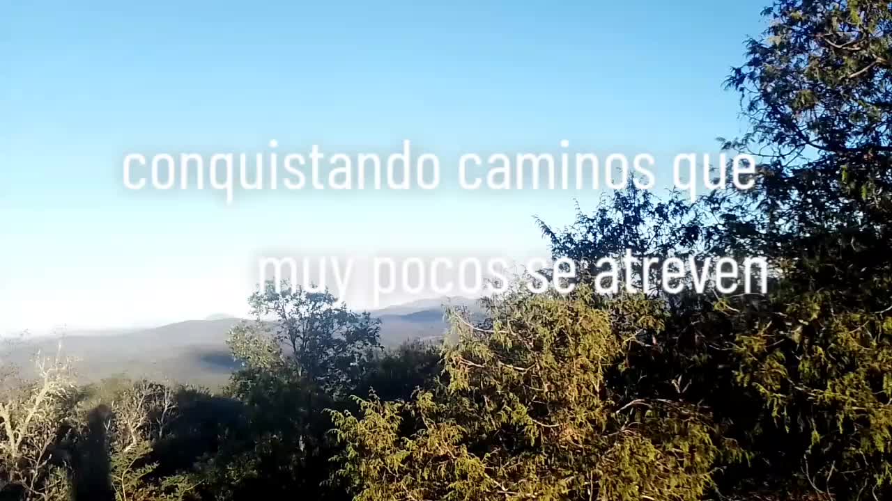 @trabajo💪arte🖼️🐲🐸aventuras