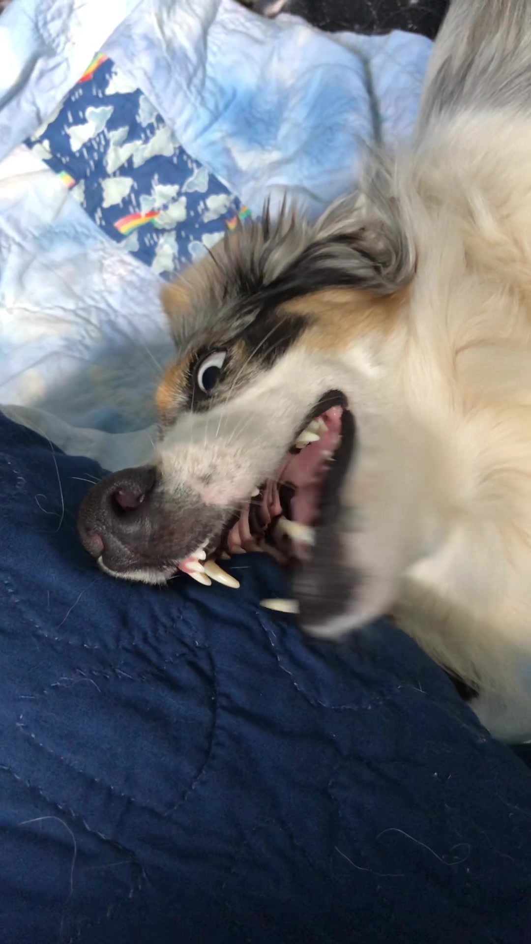 @seeingdoublemerle