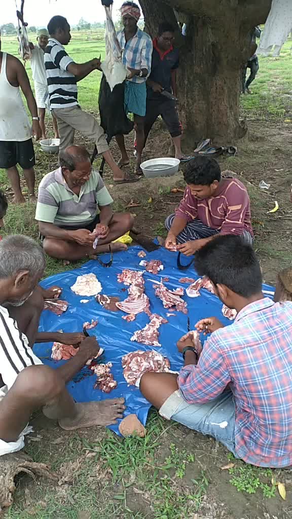 @Vishnu Mulkalla