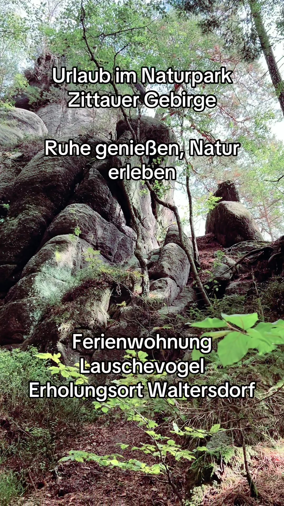 @mandau-fewo.de