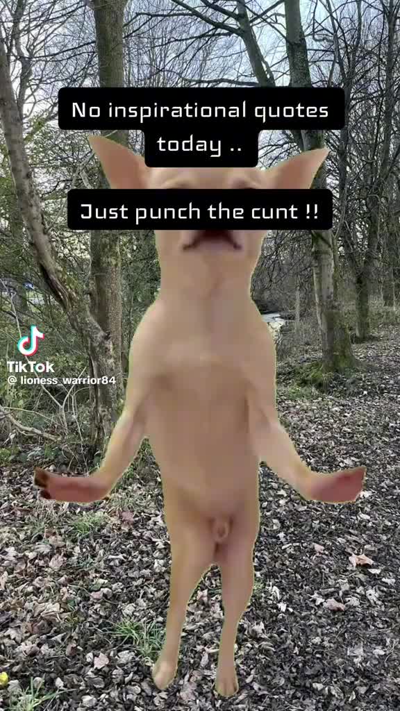 @MIKEY🏳️&zwj;🌈🏴󠁧󠁢󠁷󠁬󠁳󠁿🌄J