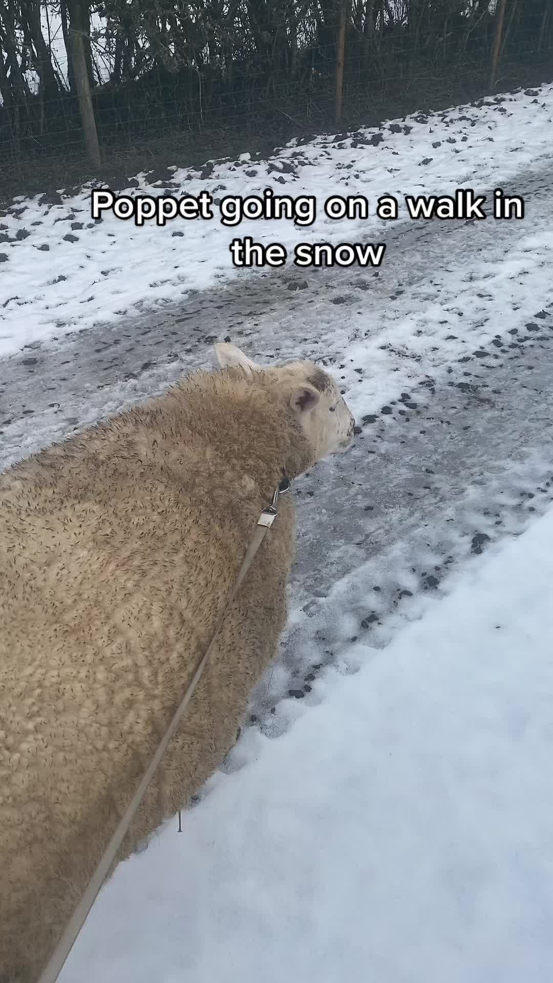 @Farming7744