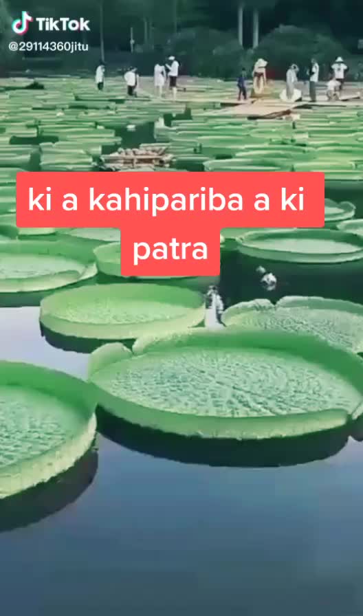 @kaberi behera