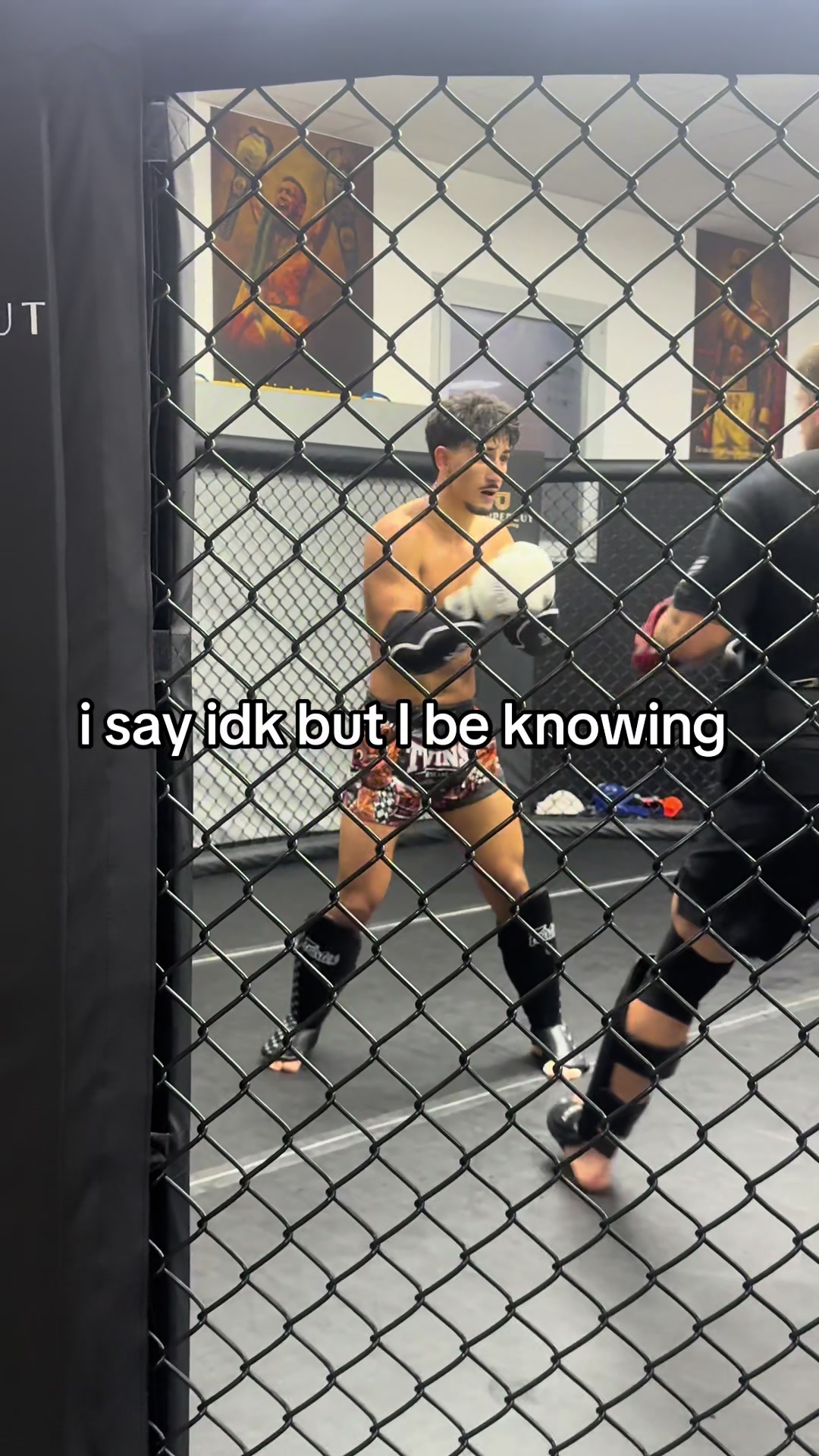 @orlandomma