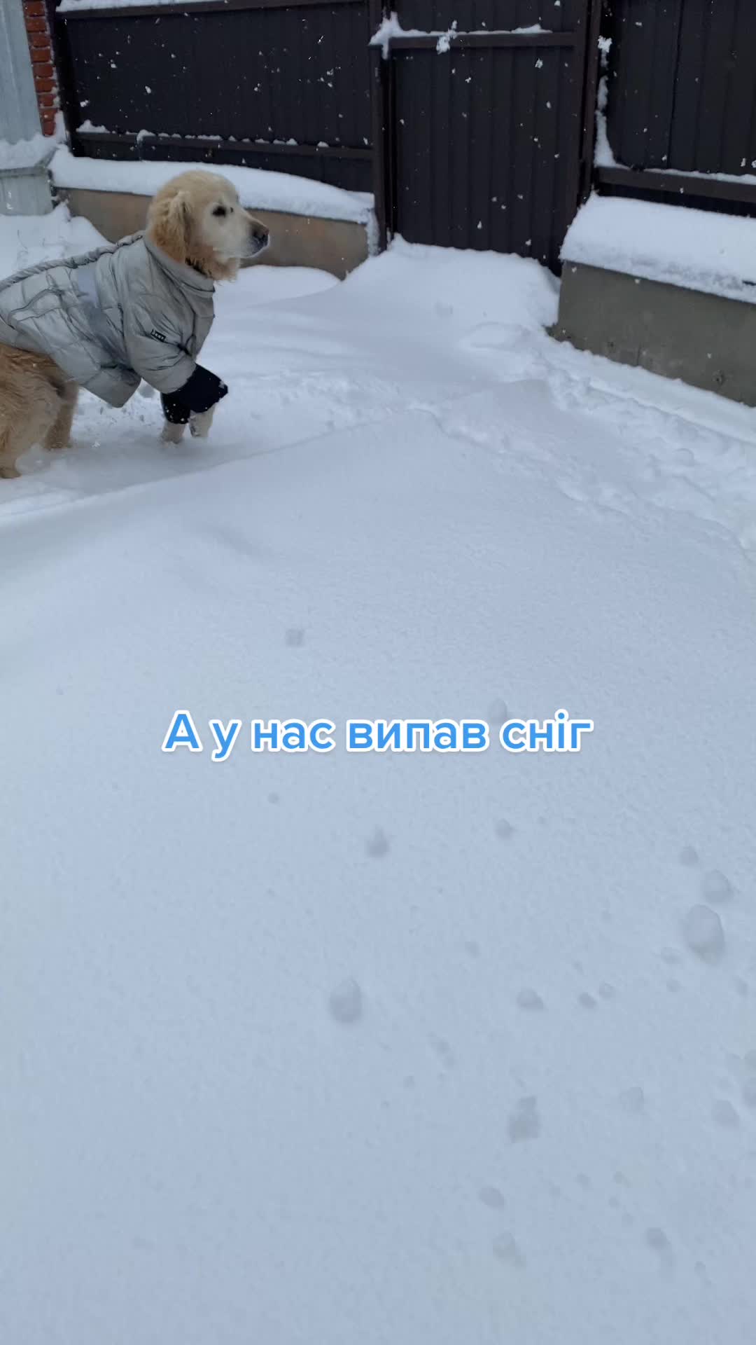 @Ірина Карпова