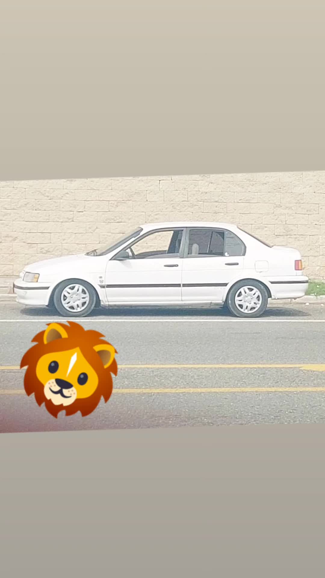 @leinel236