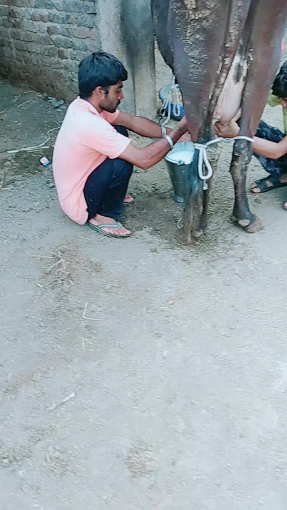 @💖_ઘાયલ_💞ગોવાળીયો🥰