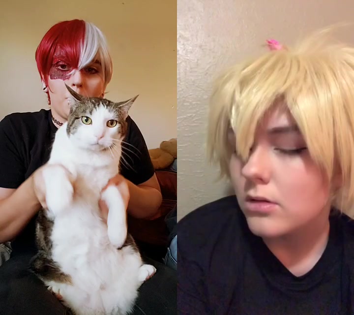 @societysreject