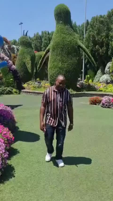 @lwanga17
