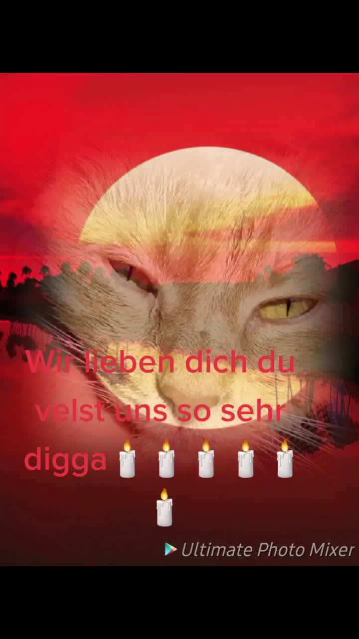 @💙💙💙💙josef💙💙💙💙