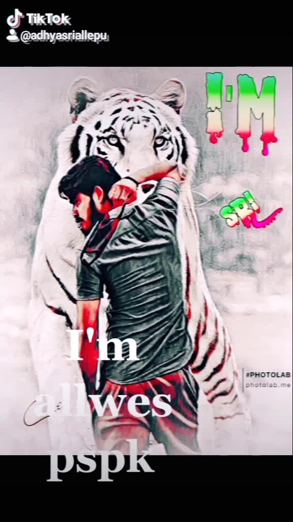 @Allepu Srikanth