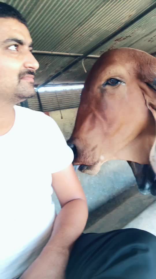 @Mehul Bharwad Satiya