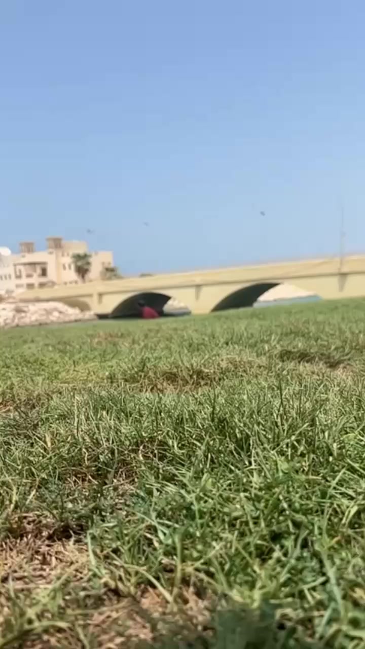 @𝓖𝓪𝓰𝓪𝓷 𝓜𝓪𝓪𝓷