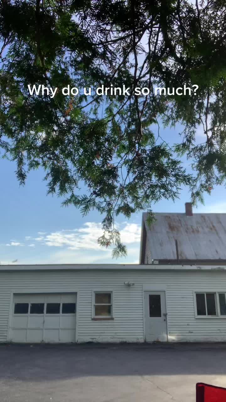 @VT_SQUIRREL