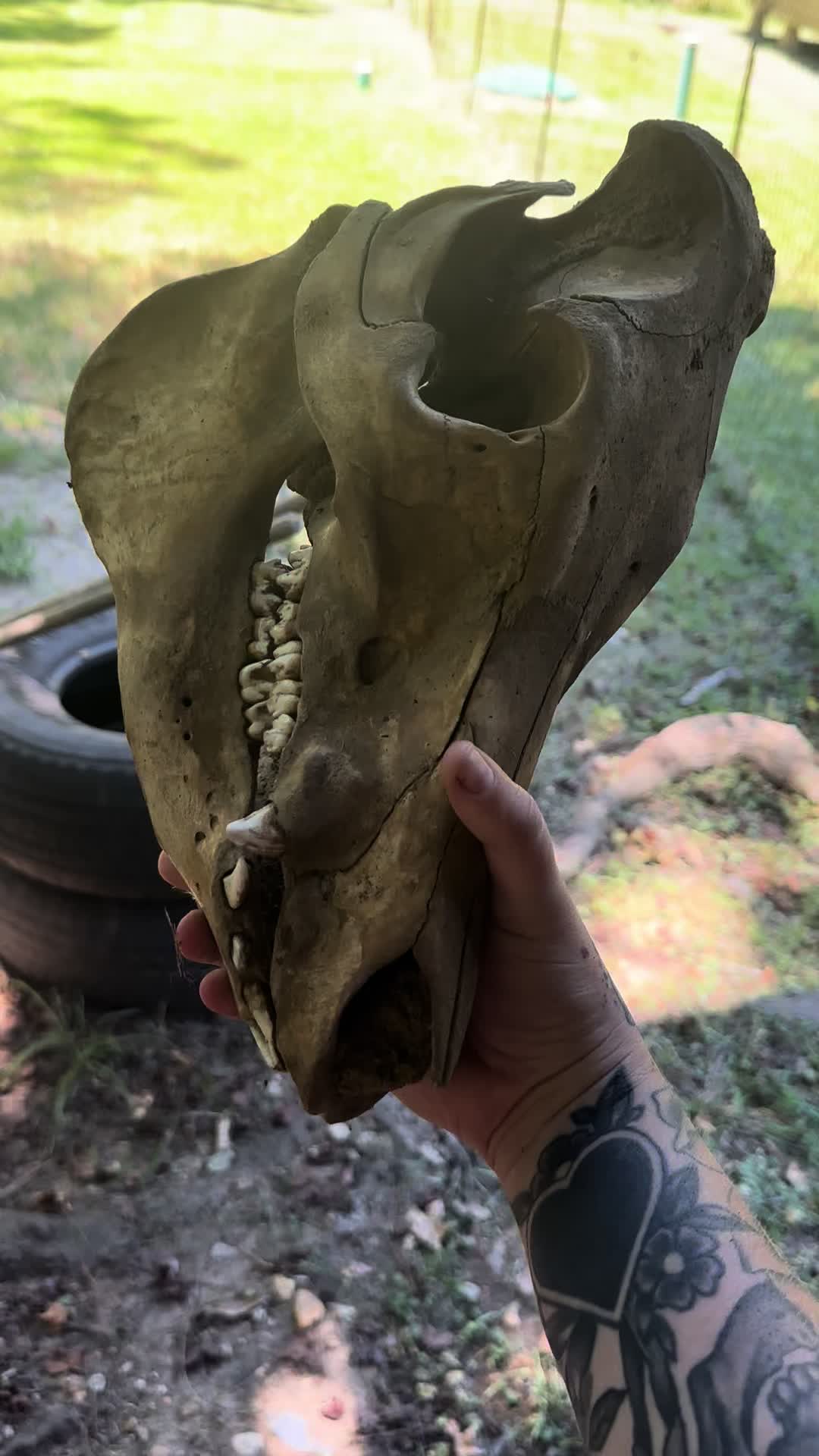@Openeyetreasures