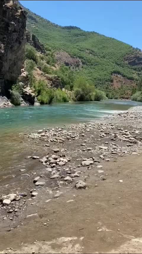 @denizpinar