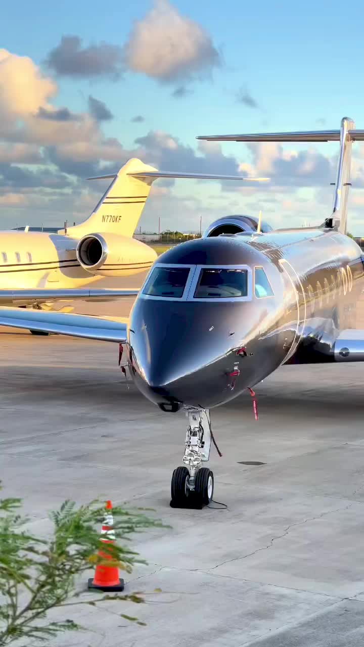 @FLYBLACK